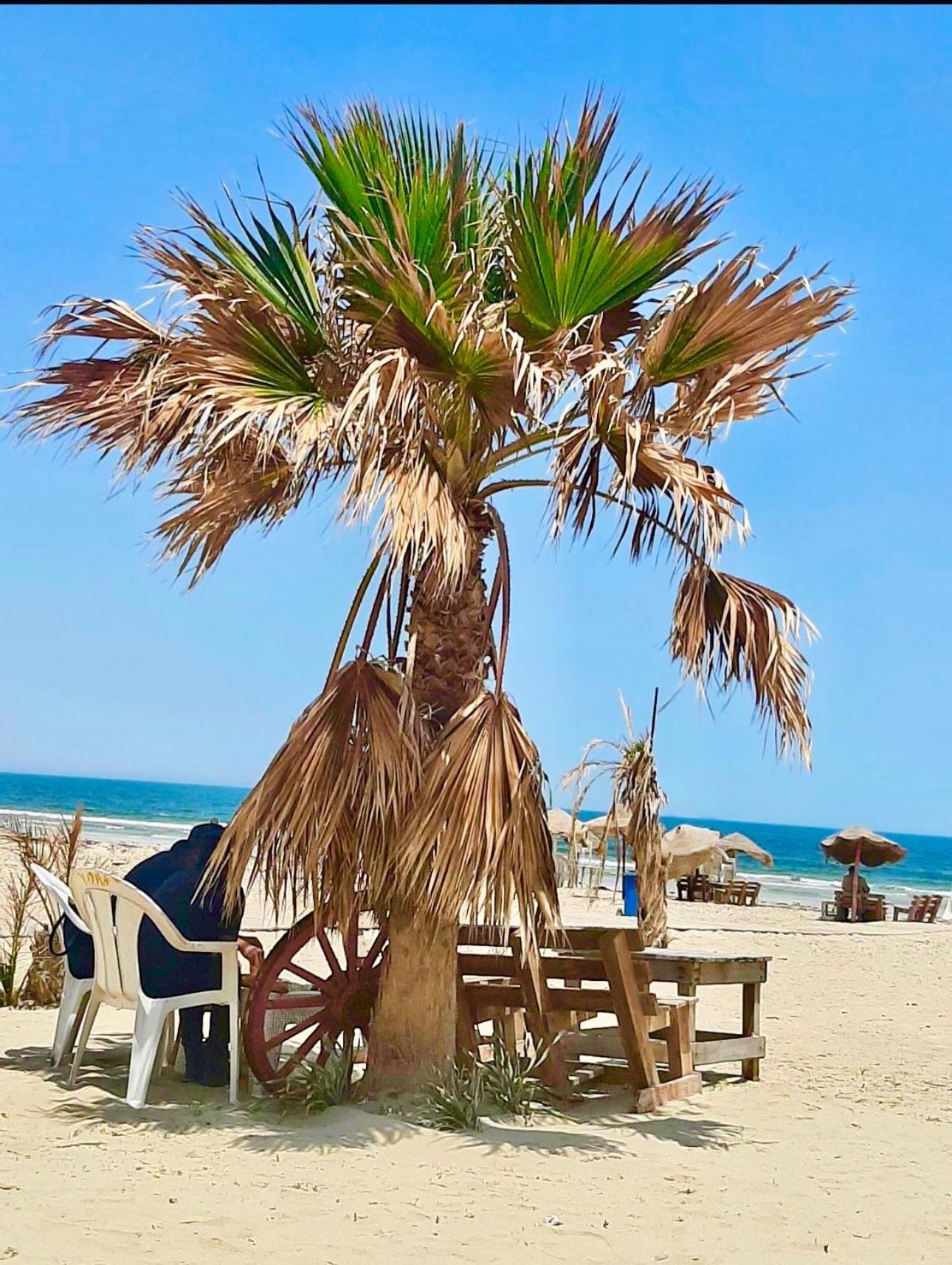 Holiday Home By The Sea, قابس المظهر الخارجي الصورة